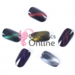 Pigment pentru unghii NADP001BB Amelie cu pulbere de magnet 2gr